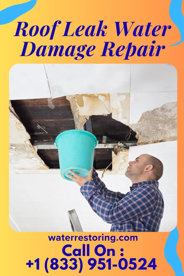 Roof Leak Water Damage Repair in St. Xavier, MT